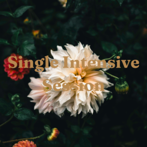 Single Intensive Session